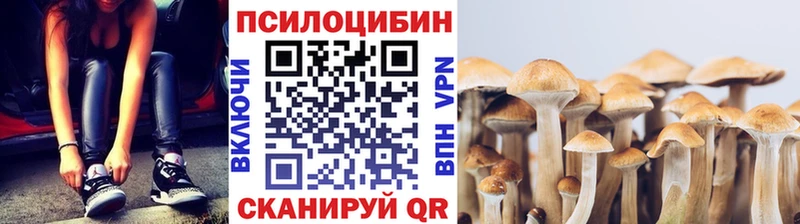 Купить где  Ноябрьск  Галлюциногенные грибы мухоморы 